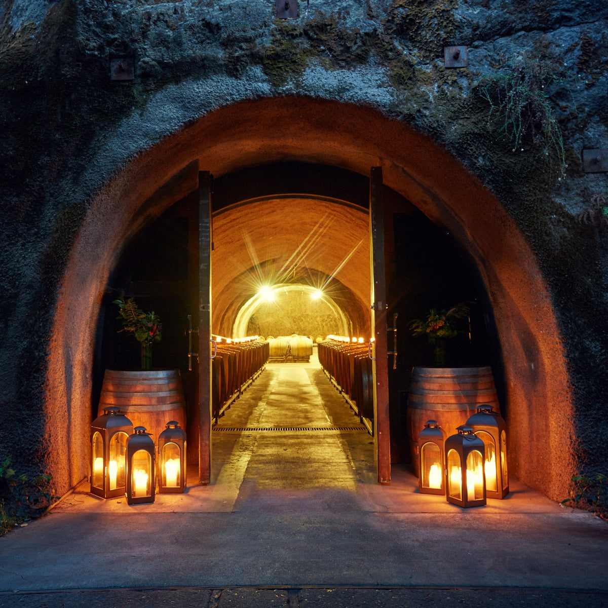 Wine cellar with barrel arches and lanterns